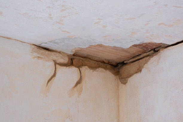 Best Basement water damage restoration  in Murrysville, PA