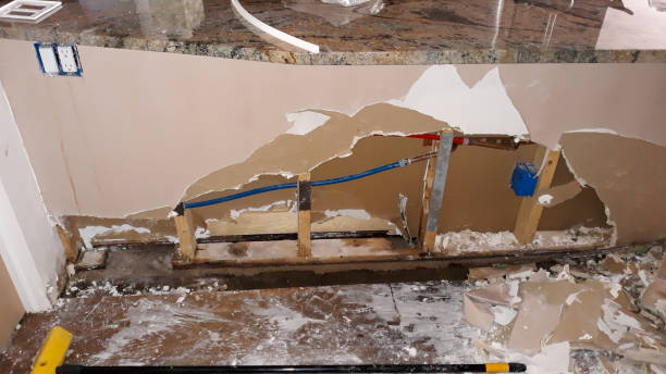 Best Flood damage cleanup  in Murrysville, PA