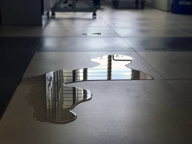 Best 24/7 water damage repair  in Murrysville, PA