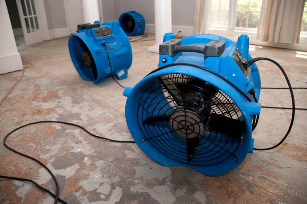 Best Flood damage cleanup  in Murrysville, PA