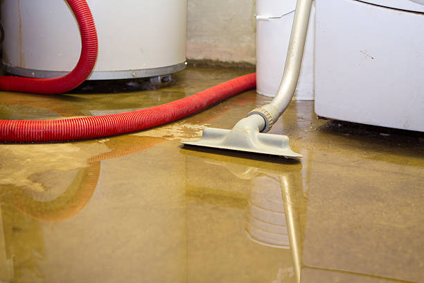 Best Sewage cleanup and water damage restoration  in Murrysville, PA