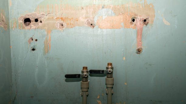 Best Water damage restoration near me  in Murrysville, PA