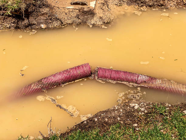 Best Water damage contractors near me  in Murrysville, PA