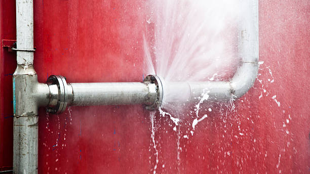 Best Flood restoration services  in Murrysville, PA