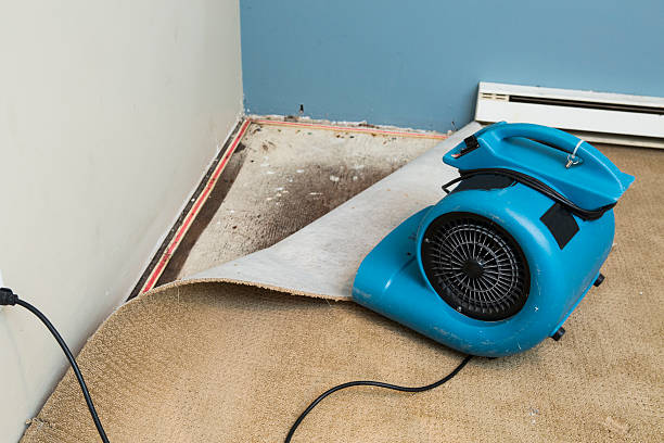 Best Local water damage restoration  in Murrysville, PA